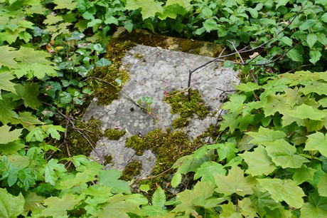 Bad Godesberg